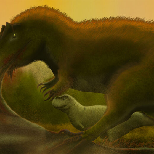 The Dragon Giant