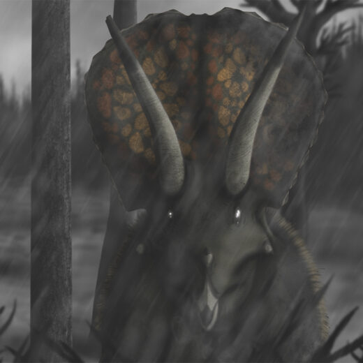 Hell Creek 2