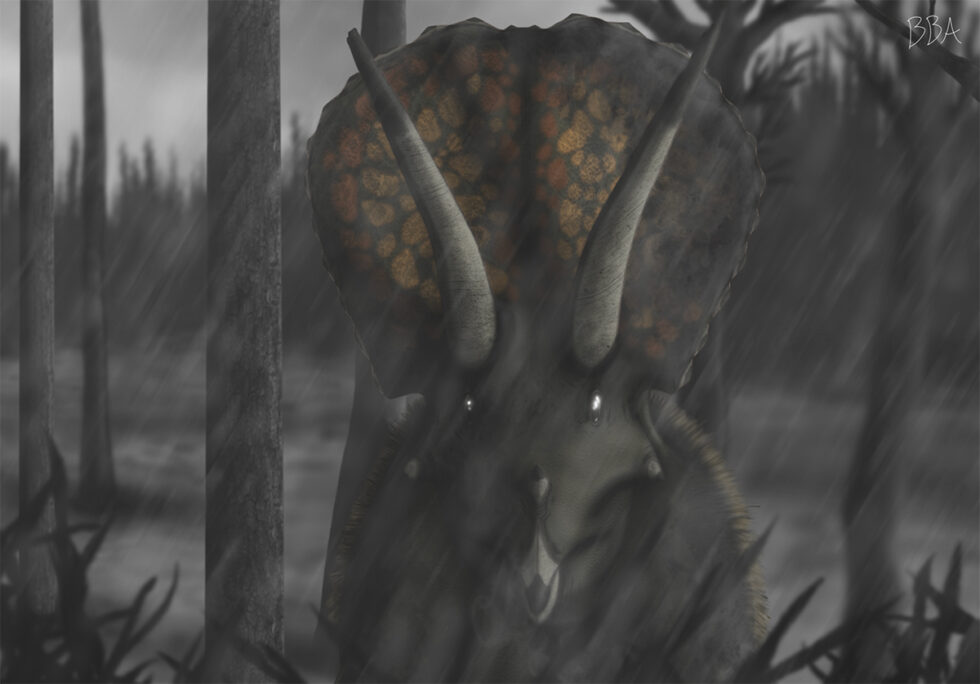 Hell Creek 2
