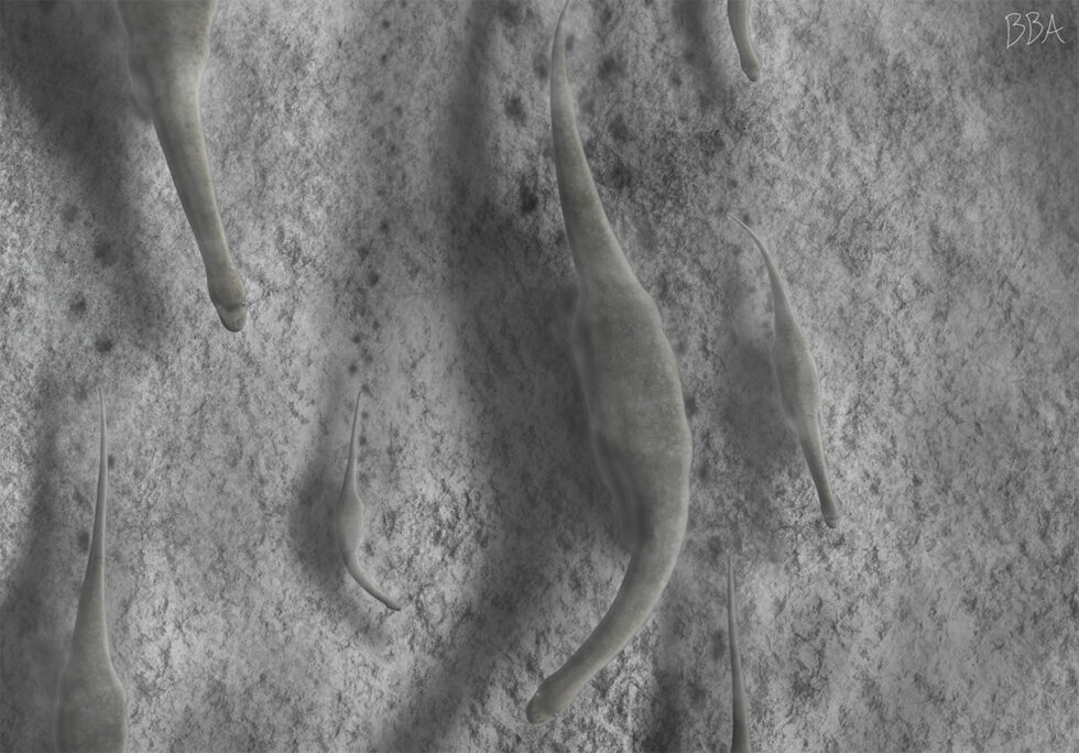 Xingezhuang 2
