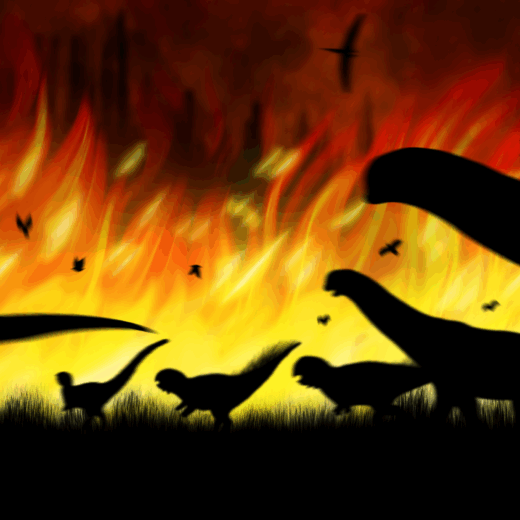 Wildfire Escapees