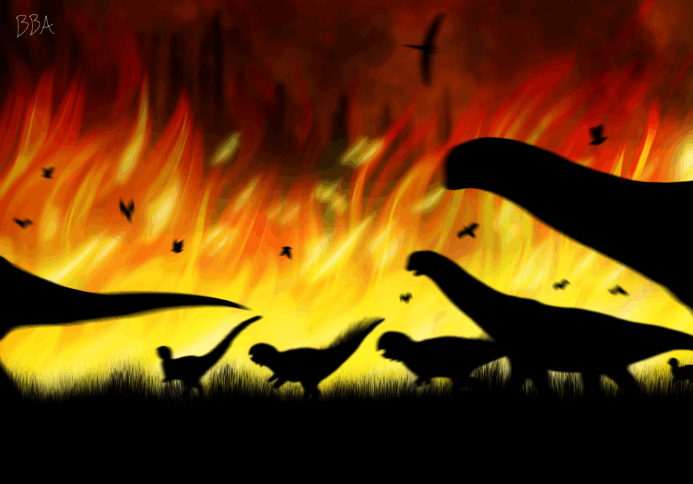 Wildfire Escapees