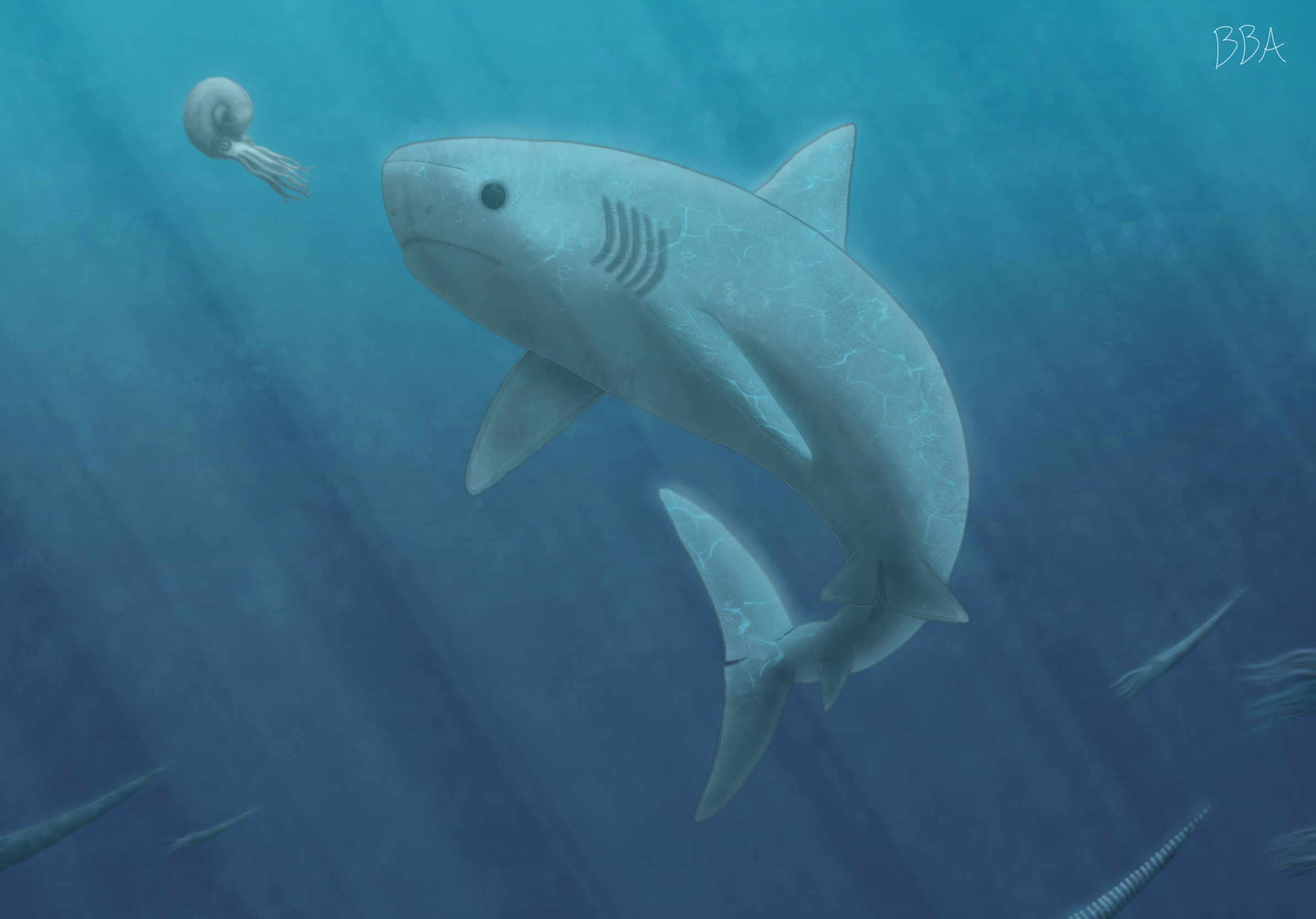 The Ginsu Shark