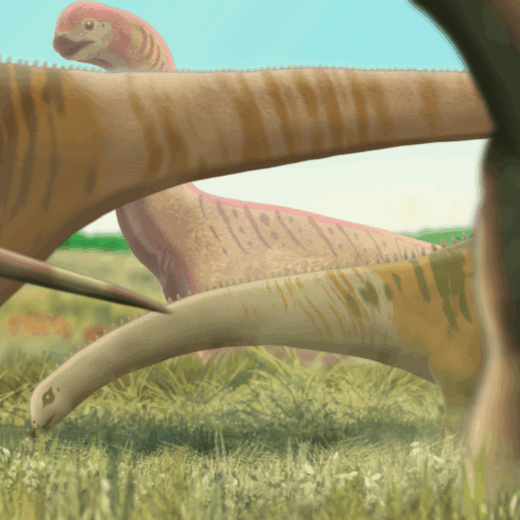 Towering Coexistence