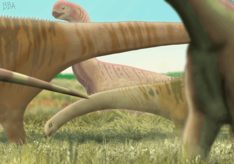 Towering Coexistence