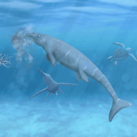 A Seafarer’s Snack