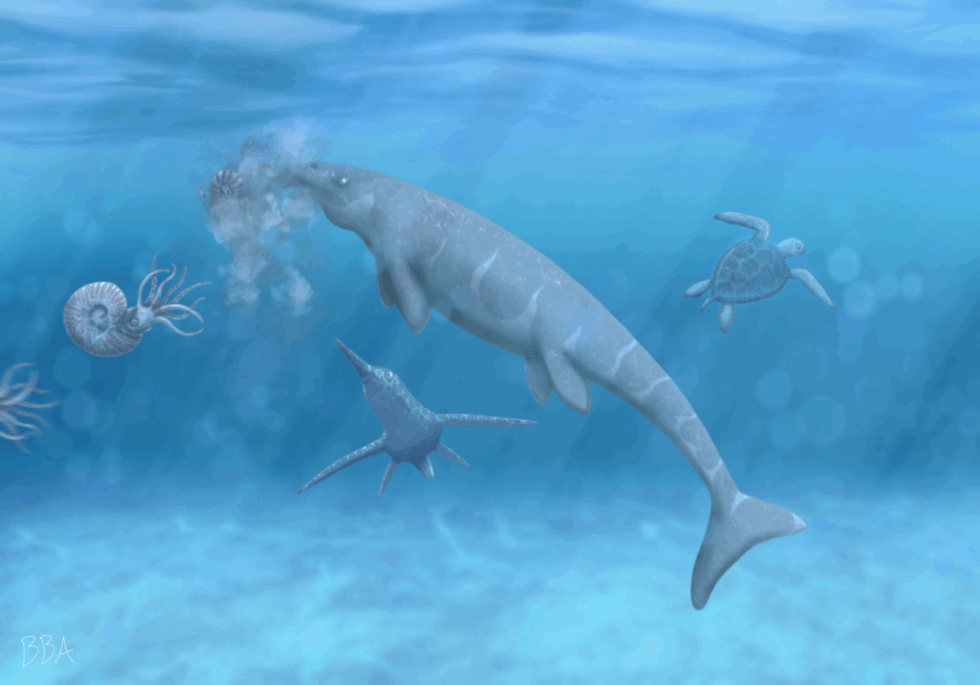 A Seafarer’s Snack