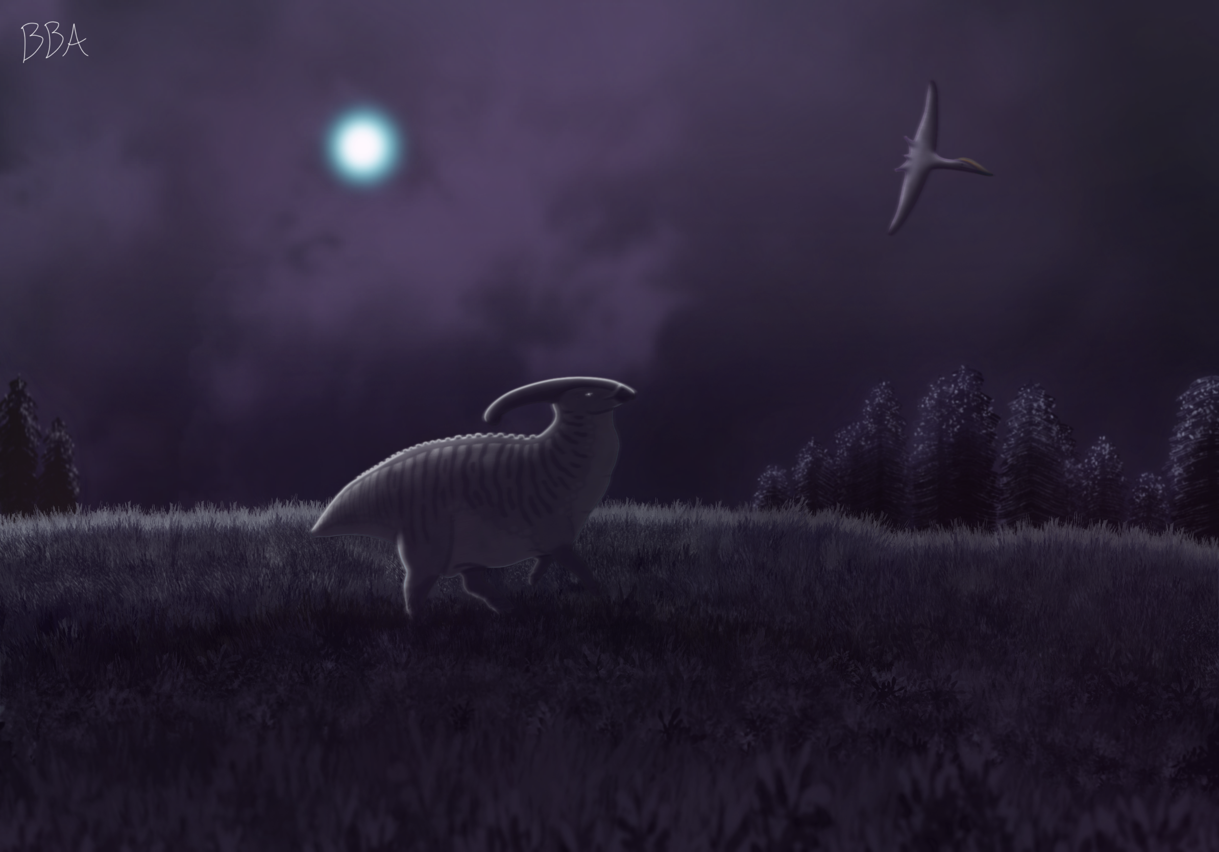 Midnight Mountaineer