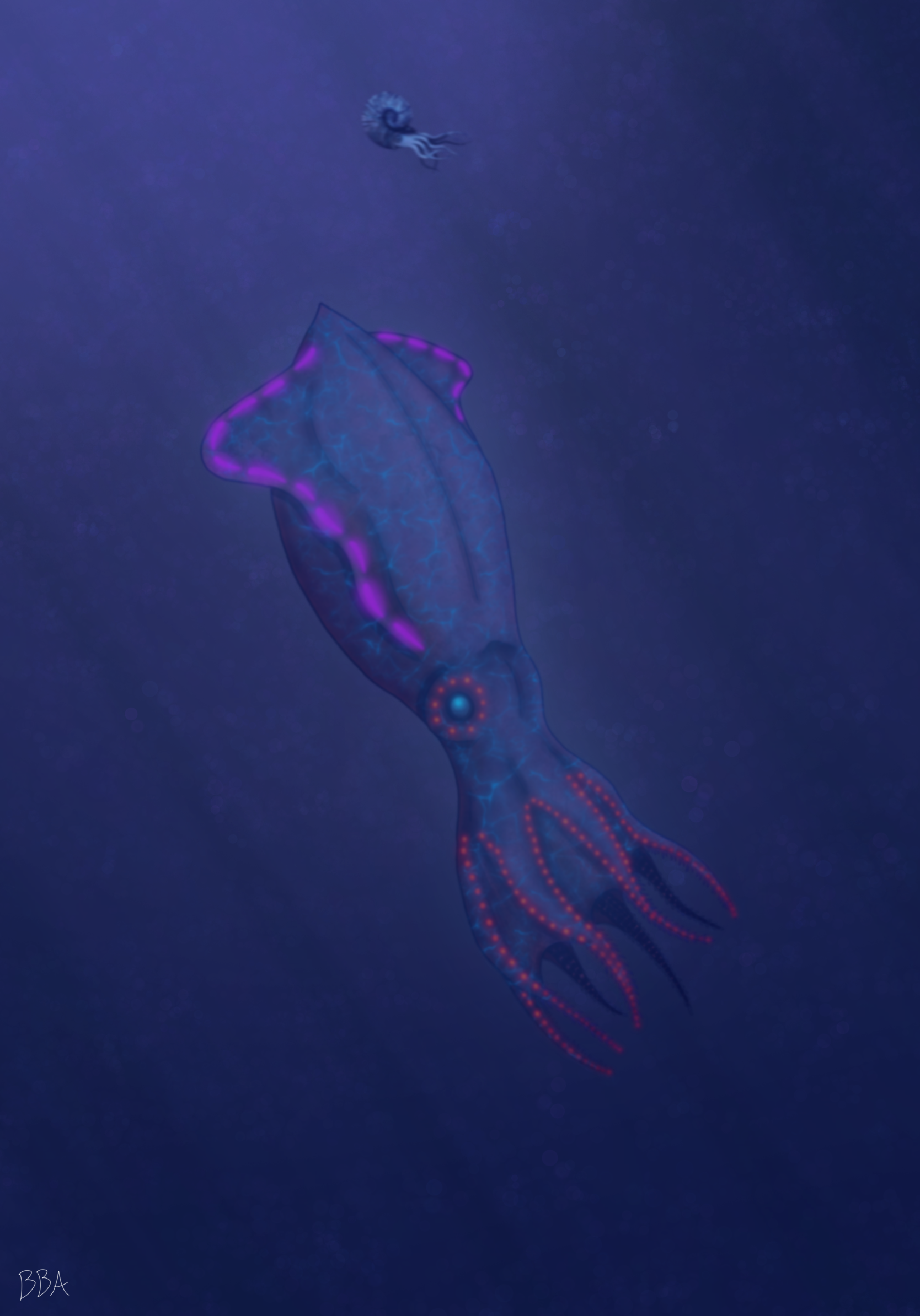 The Spear Squid