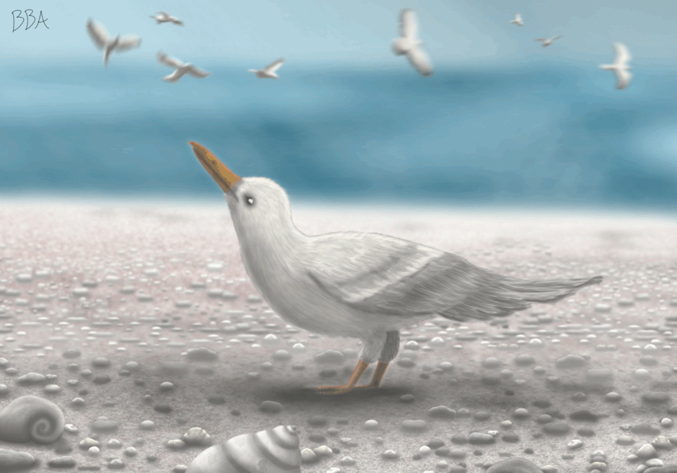 The Fish Bird
