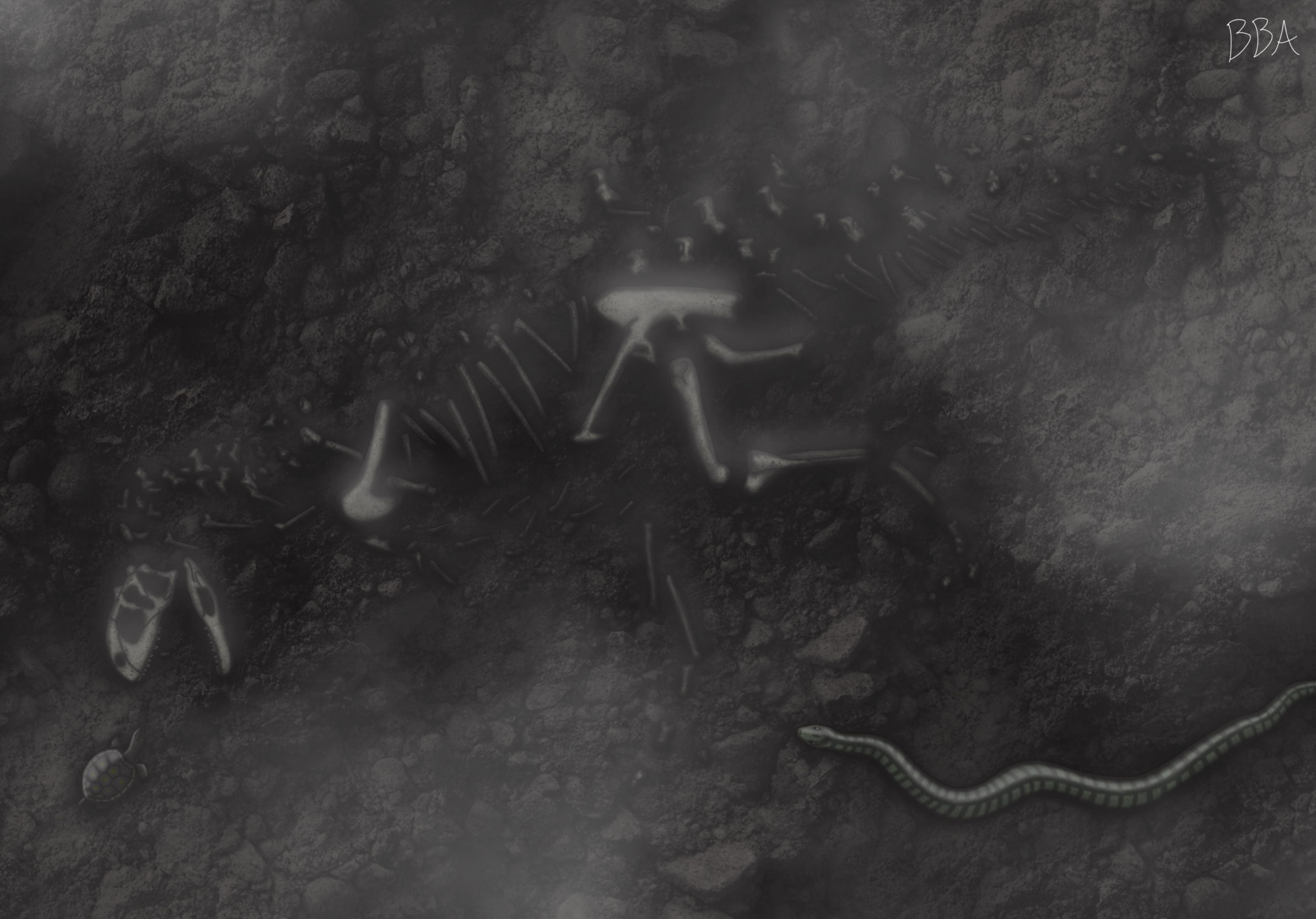 Bones Among Ashes