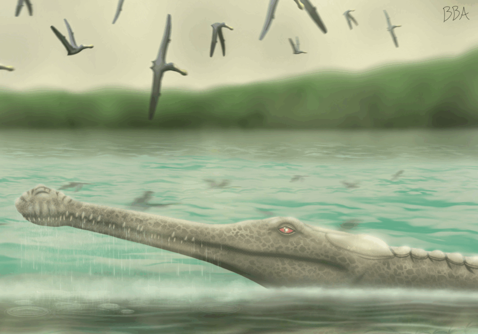 The Super Croc