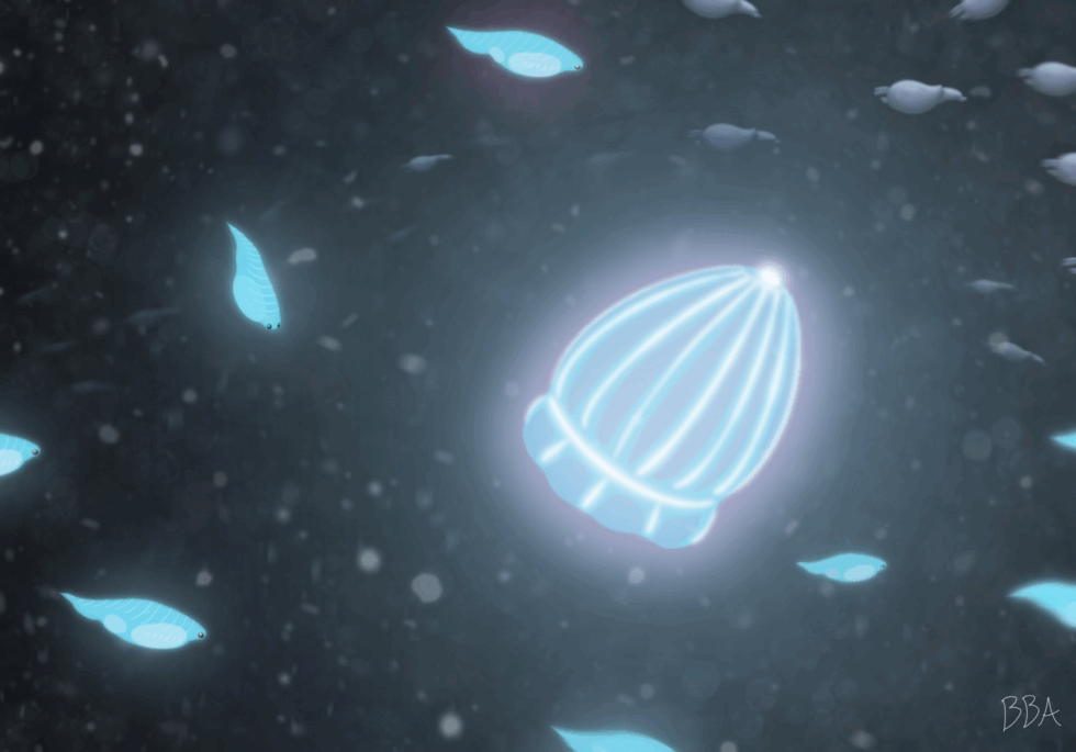 Panthalassic Light Show