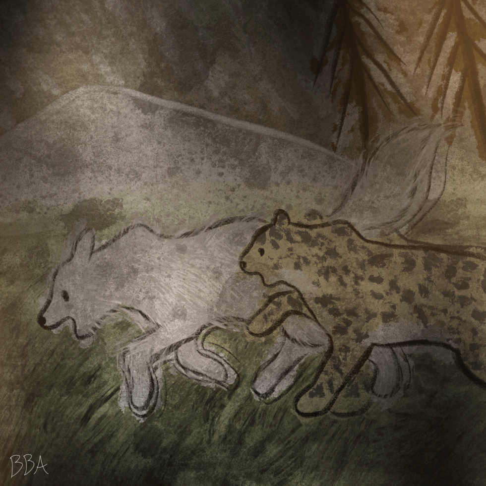 Leopard Vs. Wolf