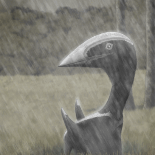 The Hateg Basin Wing