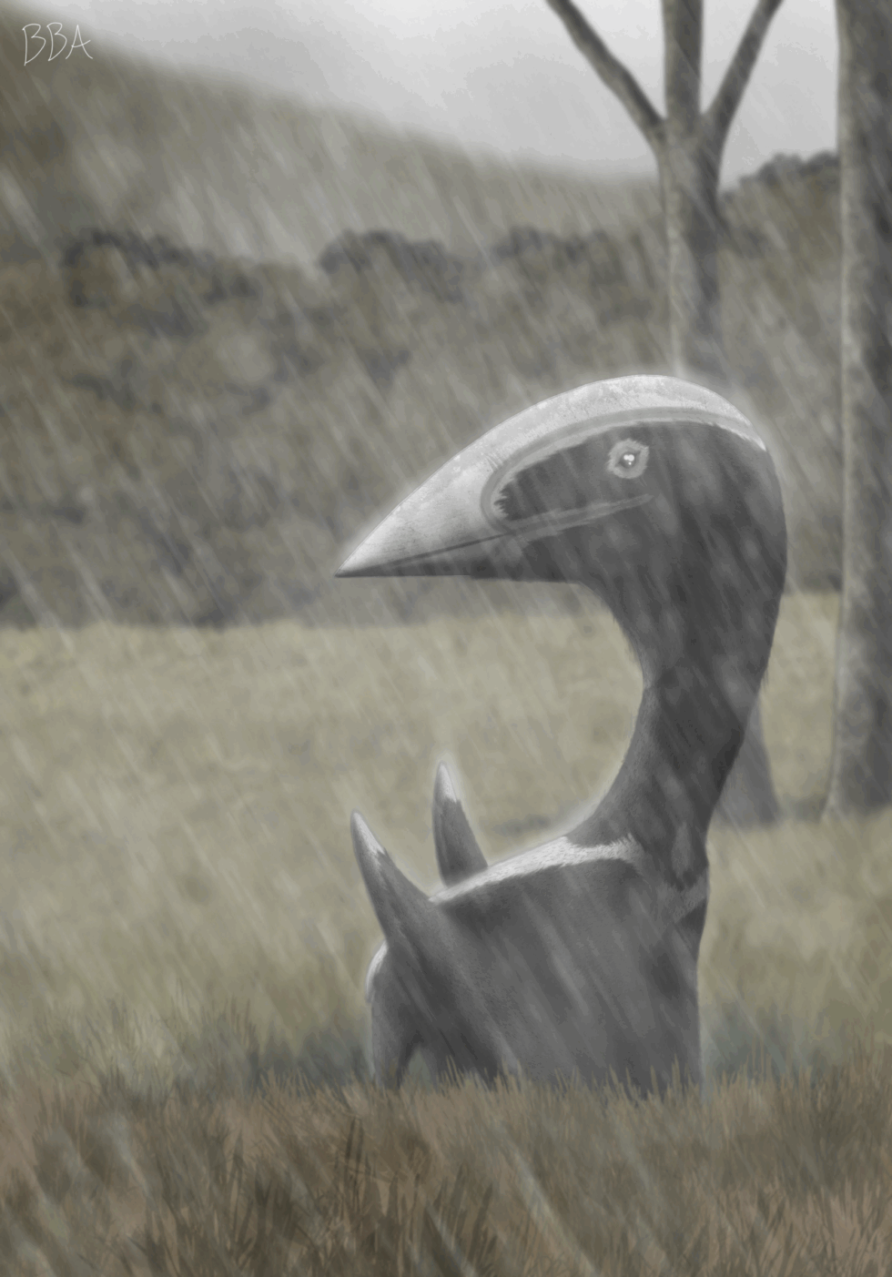 The Hateg Basin Wing