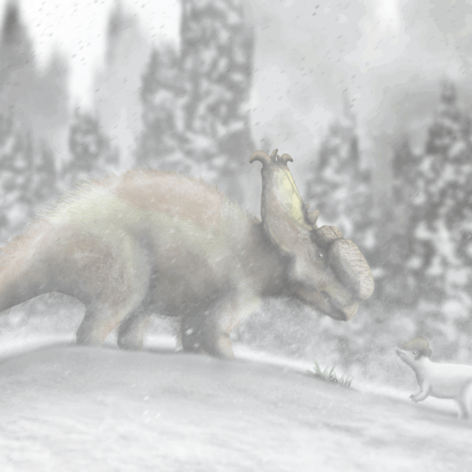 Distant Relatives