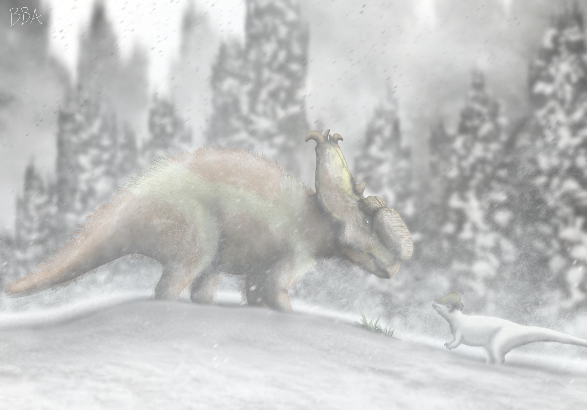 Distant Relatives