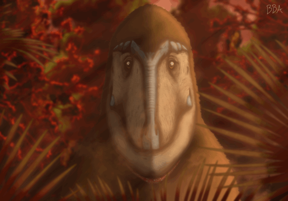 The Tyrant Lizard King